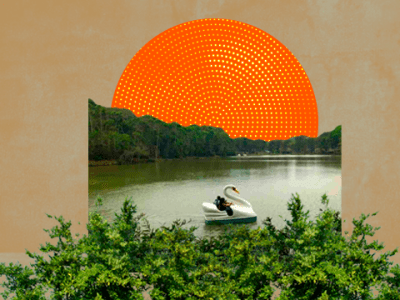 Turismo e Educação Ambiental no Parque Municipal de Juiz de&nbsp;Fora